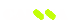 caissatoy logo